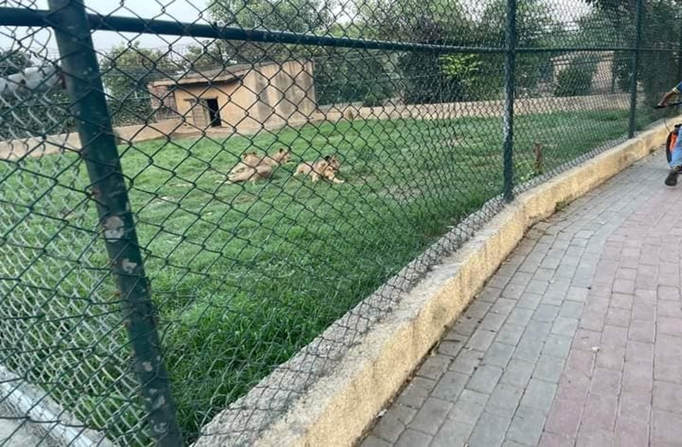 10 marla plot for sale in Phase 4 Bahria Orchard Lahore