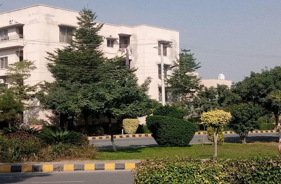 5 marla apartment for rent in Askari 11 Lahore