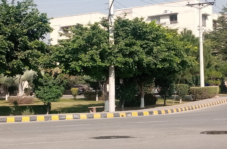 5 marla apartment for rent in Askari 11 Lahore