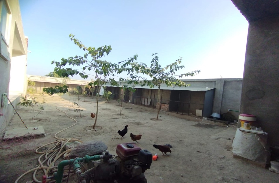 1 kanal commercial farming for sale in Barki Road Lahore