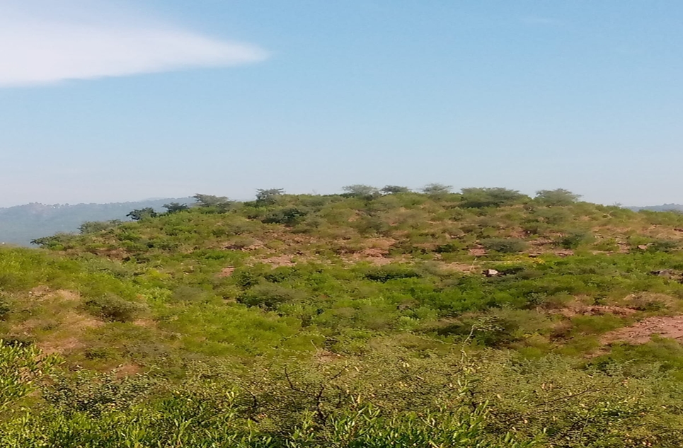 5 kanal plot for sale in Naval Farms Housing Scheme, Islamabad