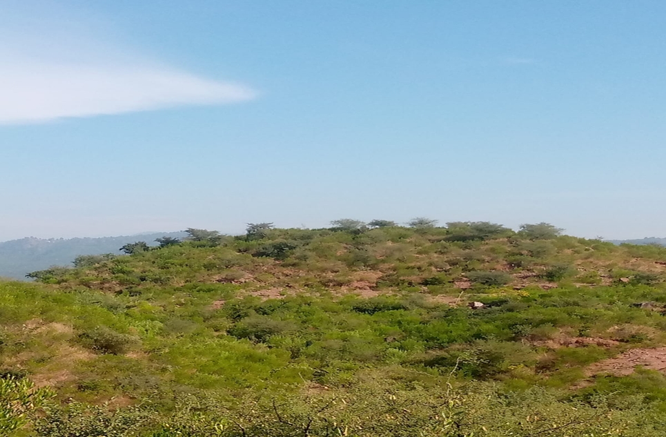 5 kanal plot for sale in Naval Farms Housing Scheme, Islamabad