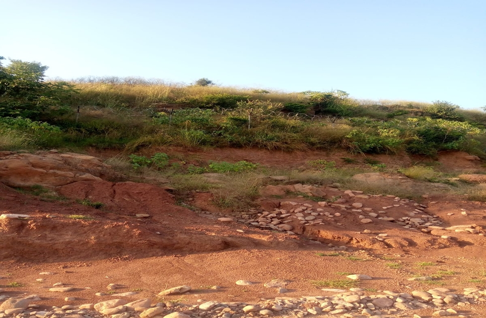 5 kanal plot for sale in Naval Farms Housing Scheme Islamabad