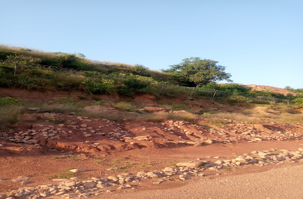 5 kanal plot for sale in Naval Farms Housing Scheme Islamabad