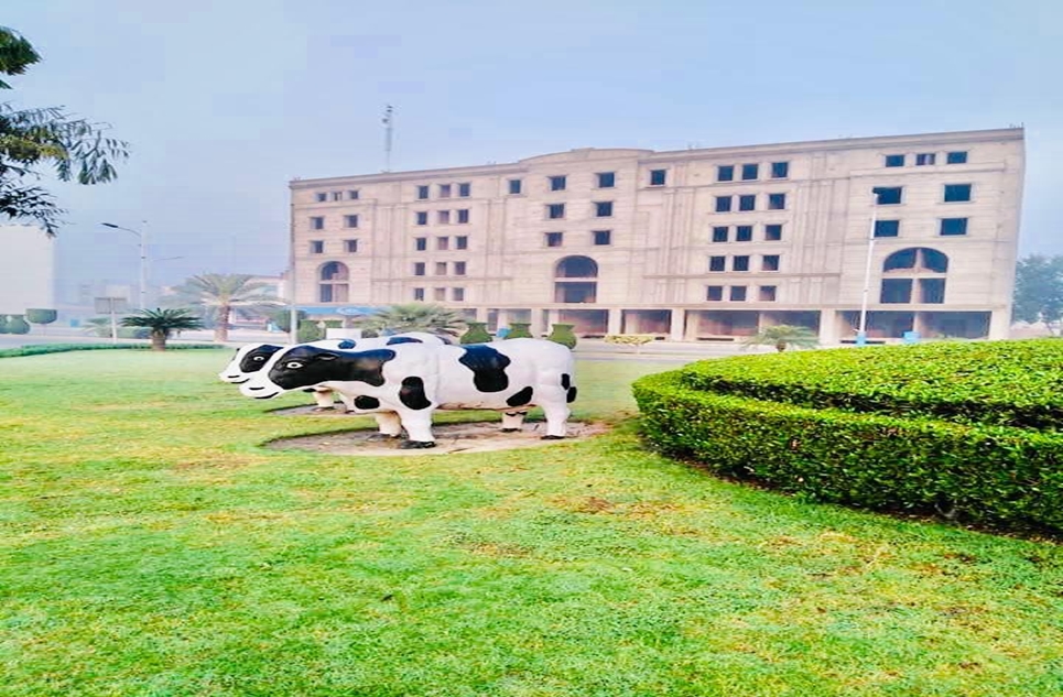 plot for sale in Phase 4 Bahria Orchard Lahore