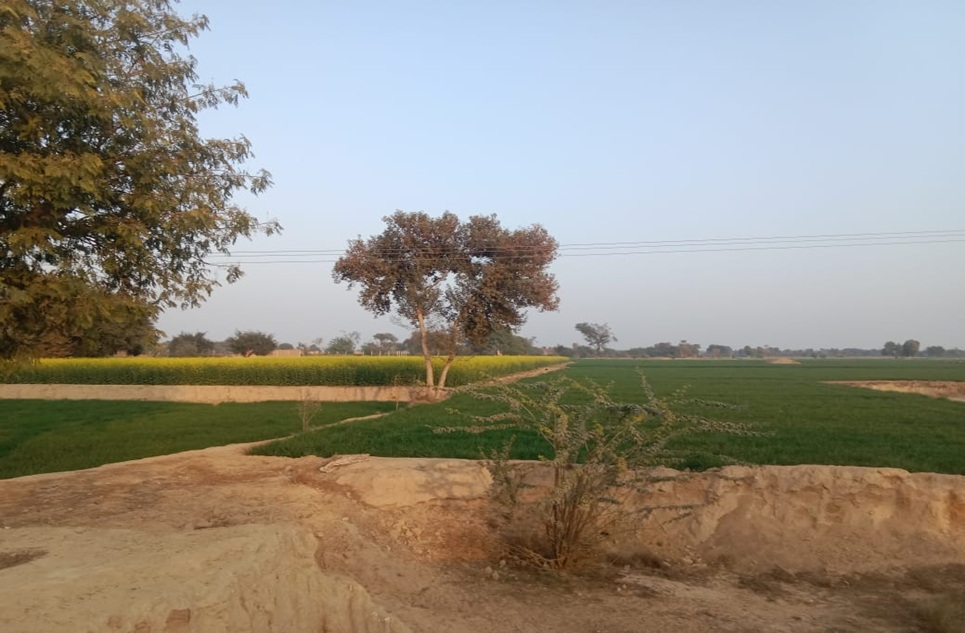 6 Kanal 12 Marla Commercial Land for Sale on Bahawalpur Yazman Road, Bahawalpur