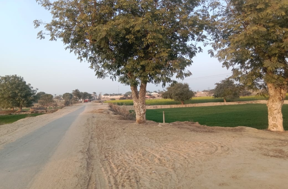 6 Kanal 12 Marla Commercial Land for Sale on Bahawalpur Yazman Road, Bahawalpur