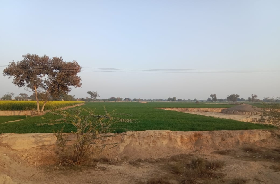 6 Kanal 12 Marla Commercial Land for Sale on Bahawalpur Yazman Road, Bahawalpur