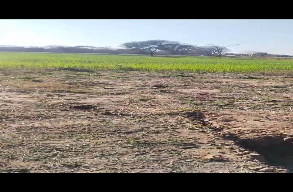 12 marla plot for sale in Rawalpindi