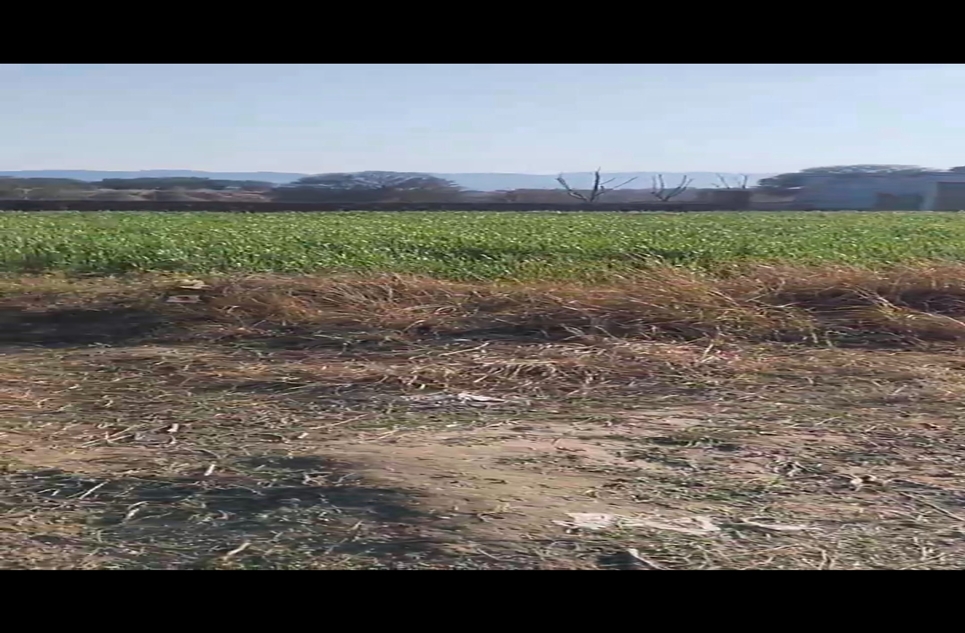 12 marla plot for sale in Rawalpindi