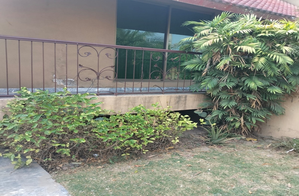2 Kanal Upper Portion for Rent in Garden Town Lahore