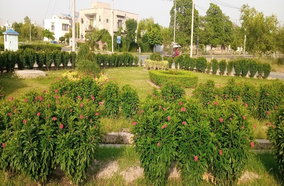 10 marla plot for sale in Wapda City Faisalabad